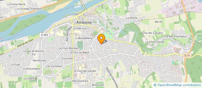 localisation de l'entreprise MONSIEUR SAIKOU DIALLO  AMBOISE