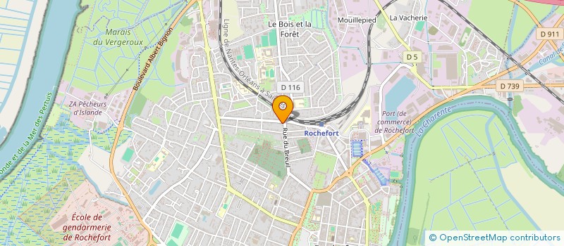 localisation de l'entreprise MONSIEUR SAIMMON KINZONZI-BITSINDOU  ROCHEFORT