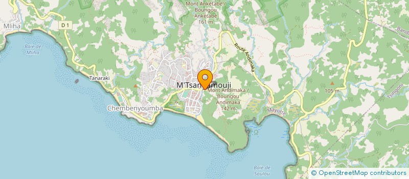 localisation de l'entreprise MONSIEUR SAINDOU HALIFA à M'TSANGAMOUJI