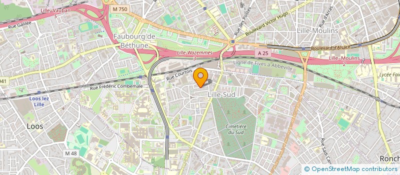 localisation de l'entreprise MONSIEUR SALAH AYATE  LILLE