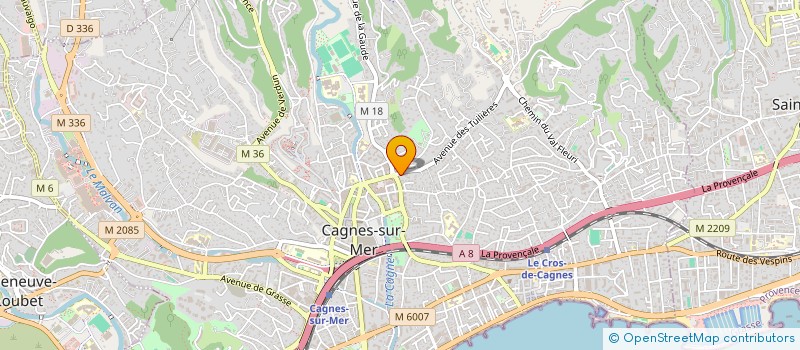 localisation de l'entreprise MONSIEUR SALAH BAHRI  CAGNES-SUR-MER