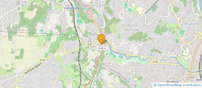 localisation de l'entreprise MONSIEUR SALAH DRIDI  SAINTE-FOY-LES-LYON