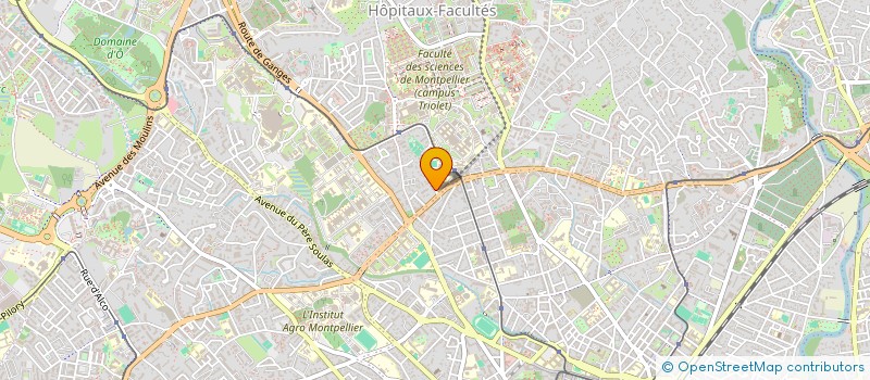 localisation de l'entreprise MONSIEUR SALAH GOUADFEL à MONTPELLIER