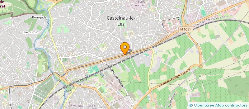 localisation de l'entreprise MONSIEUR SALAH LOUMAISSI à CASTELNAU-LE-LEZ