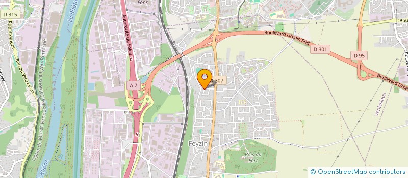 localisation de l'entreprise MONSIEUR SALAH MEJRI  FEYZIN