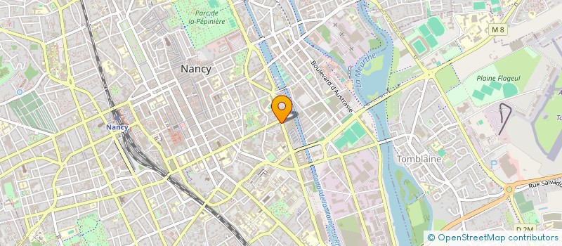 localisation de l'entreprise MONSIEUR SALAH NAILI  NANCY