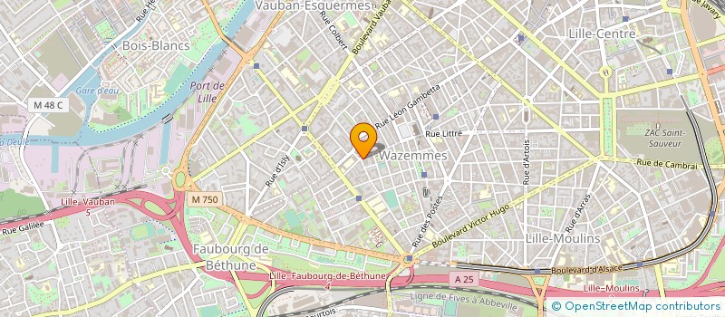 localisation de l'entreprise MONSIEUR SALAH SLIMANE TICH à LILLE