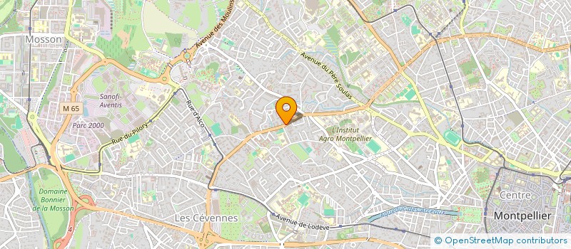 localisation de l'entreprise MONSIEUR SALAHEDDINE ZIANI  MONTPELLIER