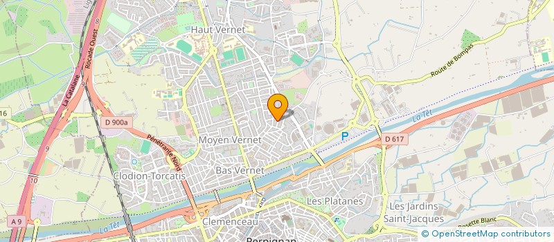 localisation de l'entreprise MONSIEUR SALEM BAFJAISH  PERPIGNAN