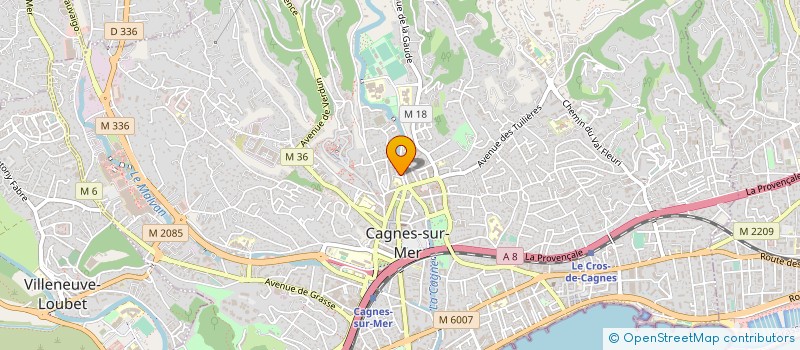 localisation de l'entreprise MONSIEUR SALEM EL ALLEM à CAGNES-SUR-MER