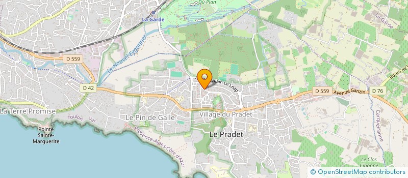 localisation de l'entreprise MONSIEUR SALEM JABALLAH  LE PRADET