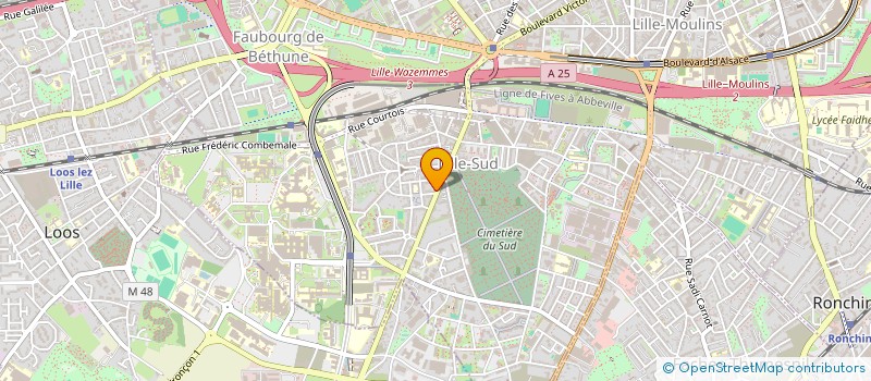 localisation de l'entreprise MONSIEUR SALIFOU TOURE à LILLE