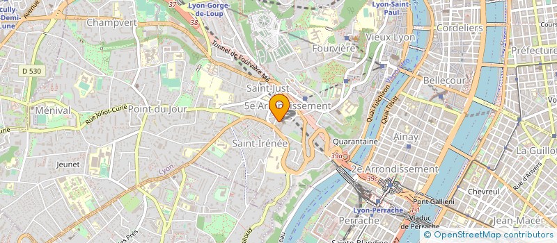 localisation de l'entreprise MONSIEUR SALIM BEN DAAMAR  LYON