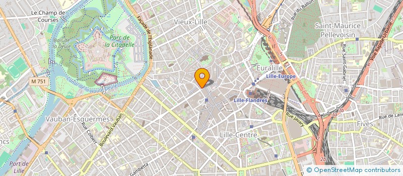 localisation de l'entreprise MONSIEUR SALIM CHACHOUR  LILLE