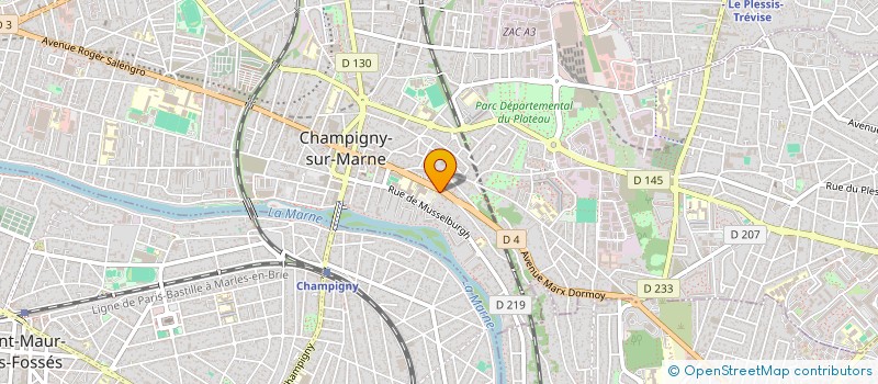 localisation de l'entreprise MONSIEUR SALIM DIALLO  CHAMPIGNY-SUR-MARNE