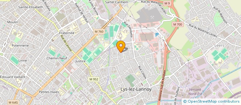 localisation de l'entreprise MONSIEUR SALIM MEDJBEUR  LYS-LEZ-LANNOY