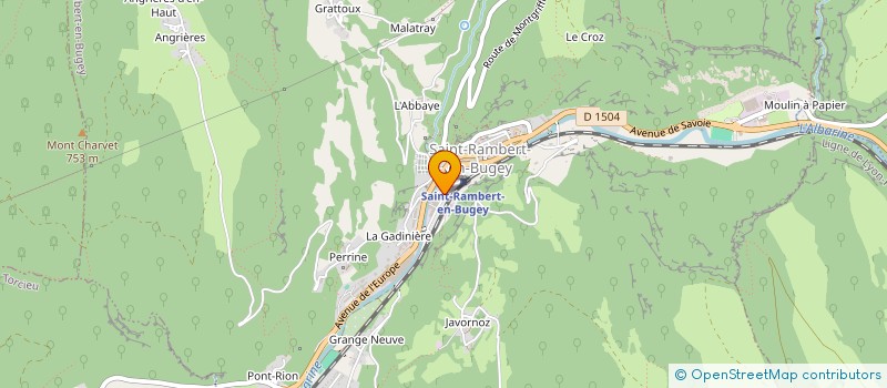 localisation de l'entreprise MONSIEUR SALIM OUERIEMMI  SAINT-RAMBERT-EN-BUGEY