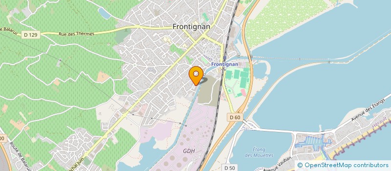 localisation de l'entreprise MONSIEUR SALISTE RASMUS à FRONTIGNAN