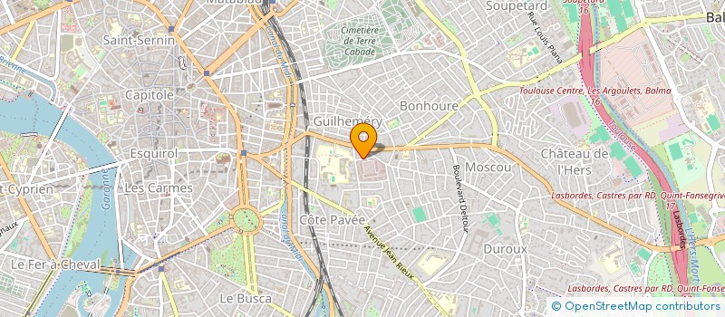 localisation de l'entreprise MONSIEUR SALOMON BISMUTH à TOULOUSE