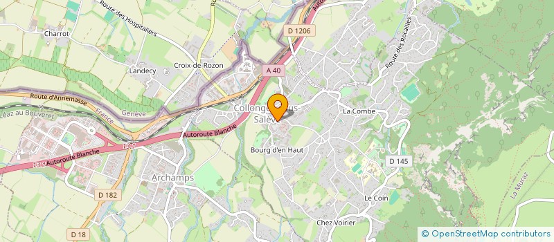 localisation de l'entreprise MONSIEUR SALOMON NAHRA  COLLONGES-SOUS-SALEVE