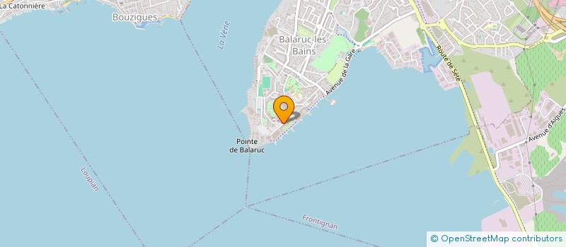 localisation de l'entreprise MONSIEUR SALVATORE LA VERDE  BALARUC-LES-BAINS