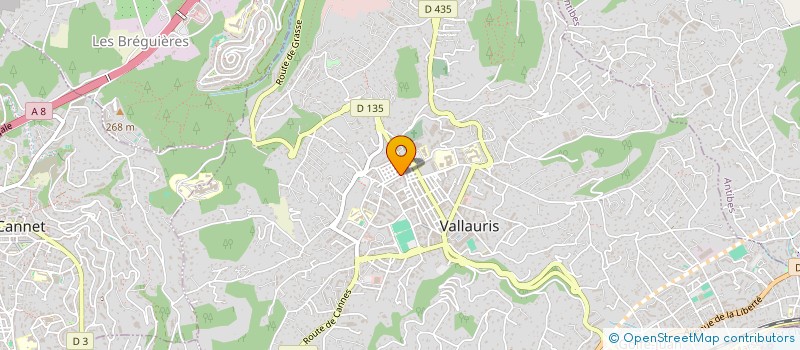 localisation de l'entreprise MONSIEUR SALVATORE STANGANELLI  VALLAURIS