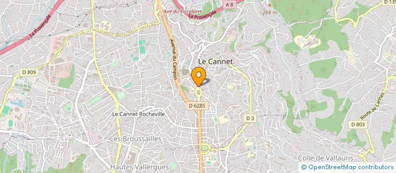localisation de l'entreprise MONSIEUR SAMI REZZAI à LE CANNET