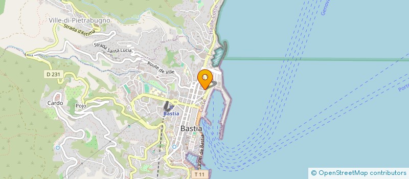 localisation de l'entreprise MONSIEUR SAMIR BOUGHALEM à BASTIA