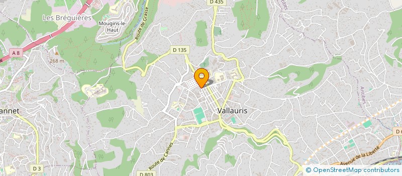 localisation de l'entreprise MONSIEUR SAMIR LAHBIB à VALLAURIS