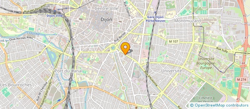 localisation de l'entreprise MONSIEUR SAMIR RADJI  DIJON