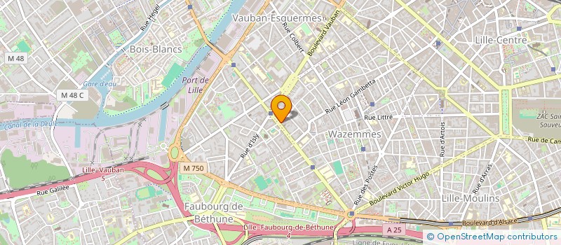 localisation de l'entreprise MONSIEUR SAMIR SERHANI à LILLE
