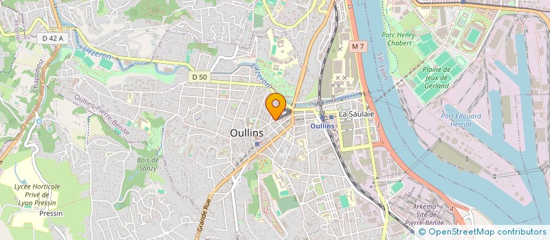 localisation de l'entreprise MONSIEUR SAMUEL BORNAND  OULLINS-PIERRE-BENITE