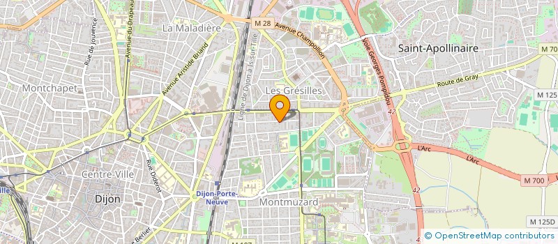 localisation de l'entreprise MONSIEUR SAMUEL DELCROIX à DIJON