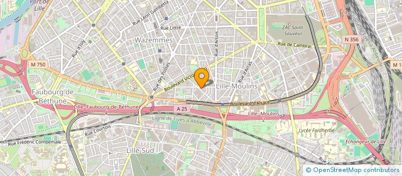 localisation de l'entreprise MONSIEUR SAMUEL FACQ  LILLE