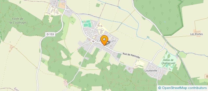 localisation de l'entreprise MONSIEUR SAMUEL JOHANSEN  CHAMPCUEIL