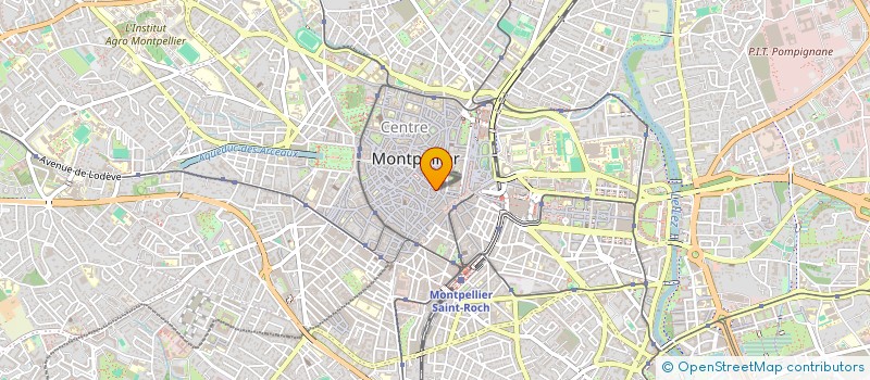 localisation de l'entreprise MONSIEUR SAMUEL LANGLEUR à MONTPELLIER