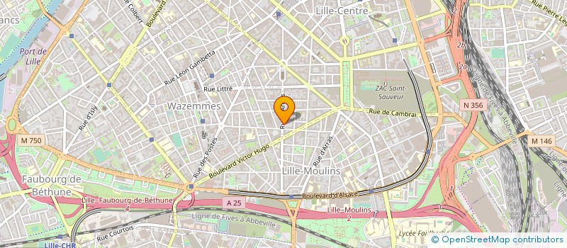 localisation de l'entreprise MONSIEUR SAMUEL MAMEDOV à LILLE