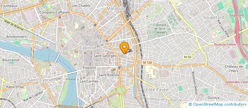 localisation de l'entreprise MONSIEUR SAMUEL MICHELS à TOULOUSE