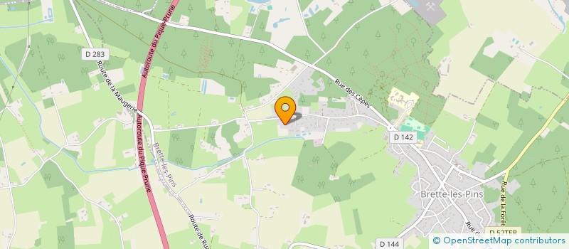 localisation de l'entreprise MONSIEUR SAMUEL PINEAU  BRETTE-LES-PINS