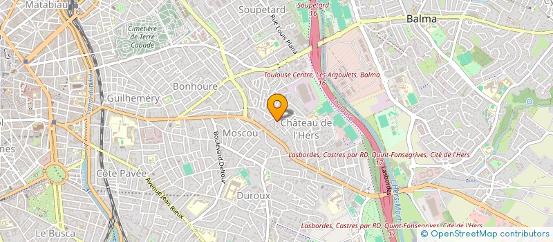 localisation de l'entreprise MONSIEUR SAMUEL THOREAU  TOULOUSE