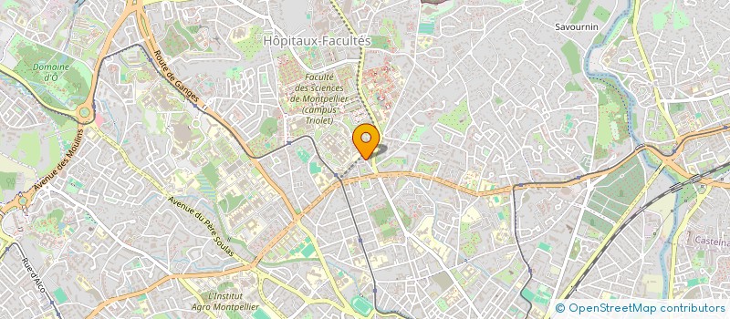 localisation de l'entreprise MONSIEUR SAMUEL VERE à MONTPELLIER