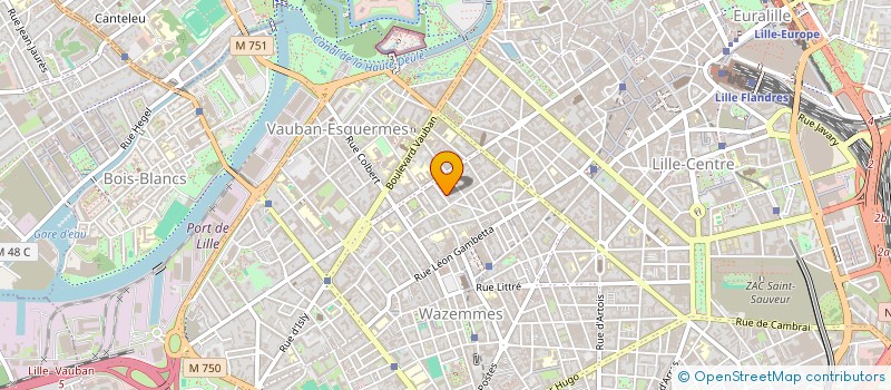 localisation de l'entreprise MONSIEUR SAMUEL VOLK  LILLE