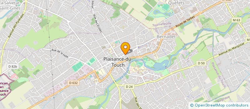 localisation de l'entreprise MONSIEUR SAMY BENAMARA  PLAISANCE-DU-TOUCH