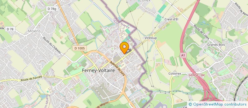 localisation de l'entreprise MONSIEUR SAMY CHERIF à FERNEY-VOLTAIRE