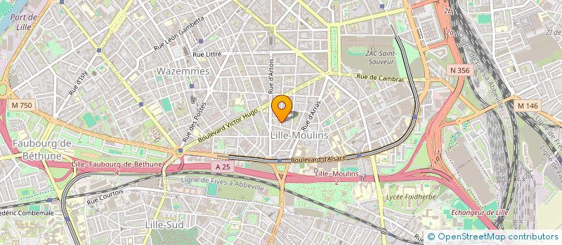 localisation de l'entreprise MONSIEUR SAMY OMAR  LILLE