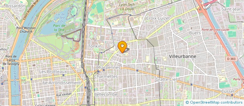 localisation de l'entreprise MONSIEUR SANDOR GISCA  VILLEURBANNE
