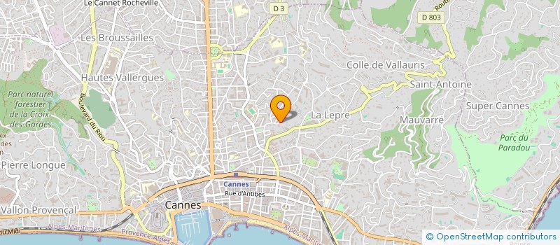 localisation de l'entreprise MONSIEUR SANDOR-LEVENTE GOGA à CANNES