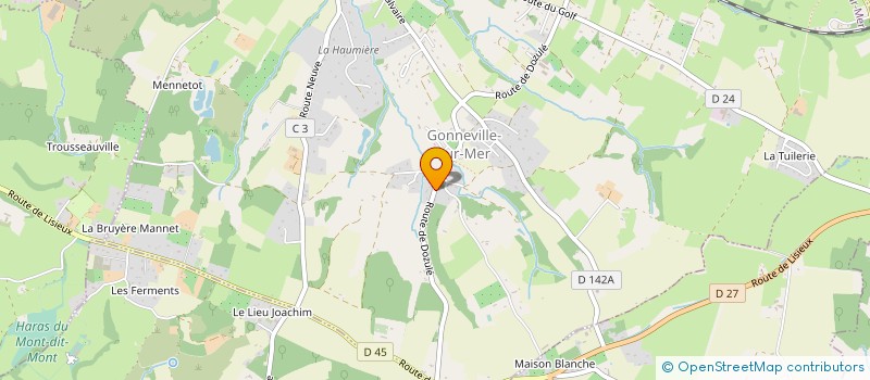 localisation de l'entreprise MONSIEUR SANDY LERICHE  GONNEVILLE-SUR-MER