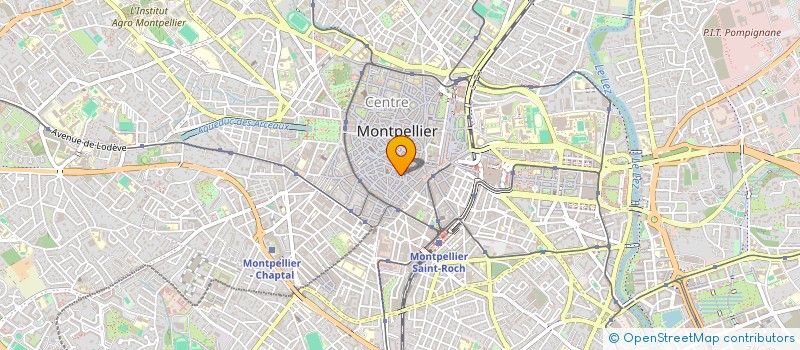 localisation de l'entreprise MONSIEUR SANTIAGO SCHENKELS à MONTPELLIER