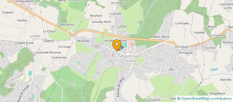 localisation de l'entreprise MONSIEUR SANTOS GONZALEZ  FARGUES-SAINT-HILAIRE